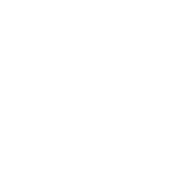 Summer Camp